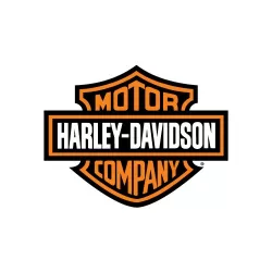 Harley davidson front brake discs