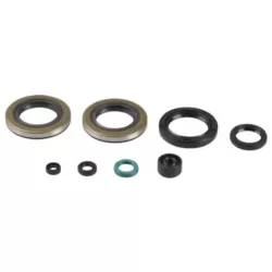 Bearings / Oil seals kits