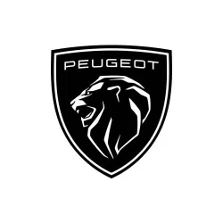 PEUGEOT front brake discs