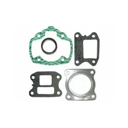Peugeot gaskets