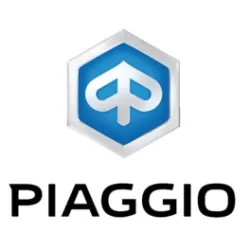 PIAGGIO rear brake discs