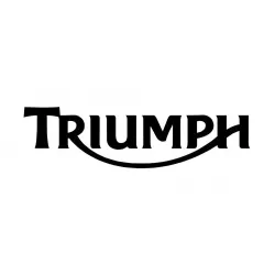 Triumph front brake discs