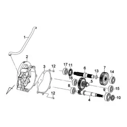 2 stroke scooter / Cross / ATV gearbox / Transmission parts / Gears