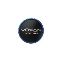 Voxan rear brake discs