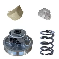 Variator parts