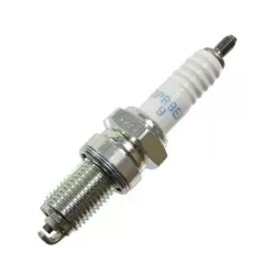 Spark Plugs